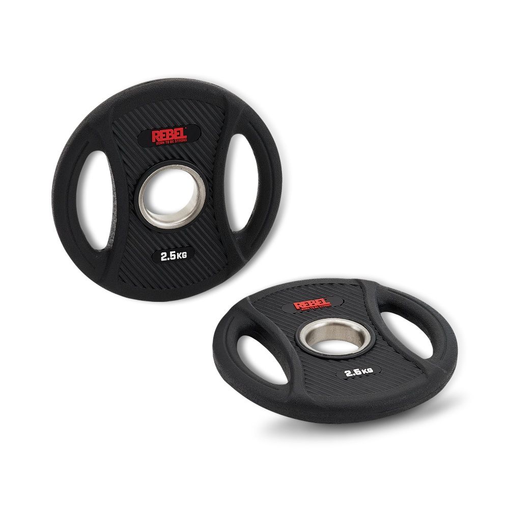 Диски олимпийские обрезиненные с двумя хватами 2,5 кг REBEL (пара)