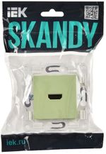SKANDY Розетка HDMI SK-H01G мятный IEK