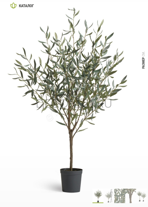 Оливковое дерево Топиари в-145 см 1/1 10.0624239N