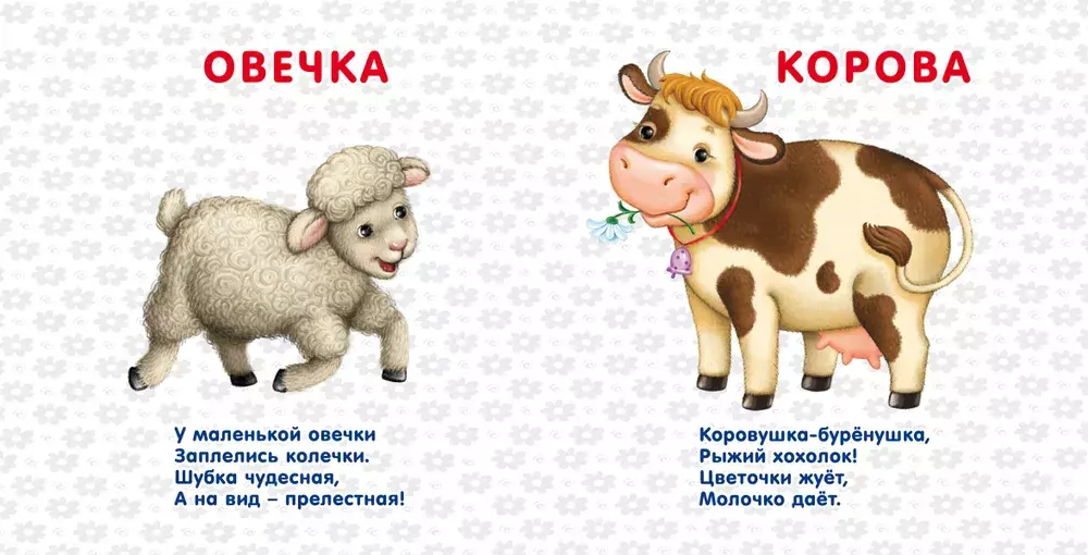 Книжки - картонки. Домашние животные