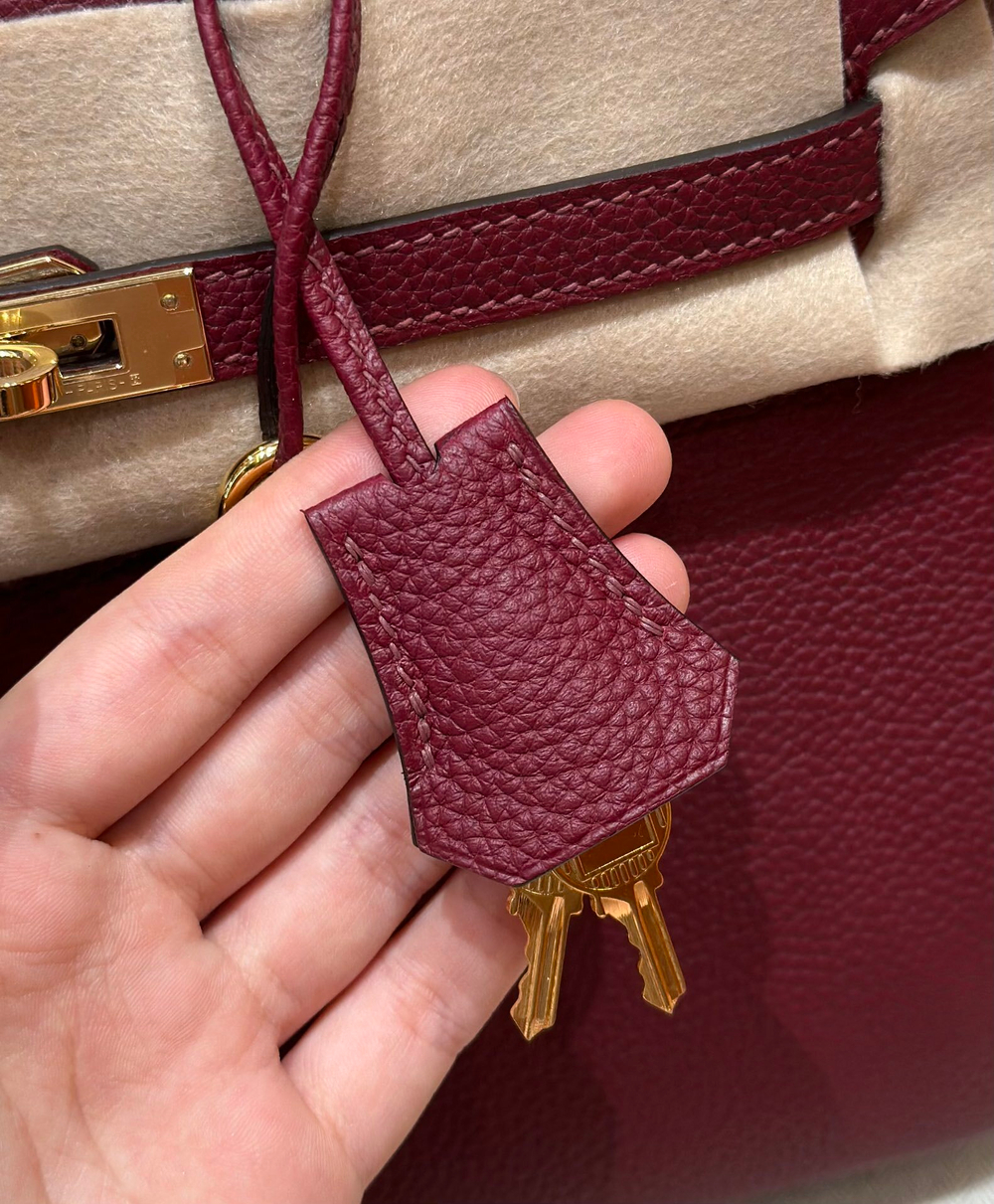Hermes Birkin 25