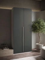 Шкаф распашной 100х50х220 двухдверный Mirage 1