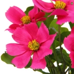 Цветочная композиция «Поцелуй лета» Космея ярко-розовая 20см