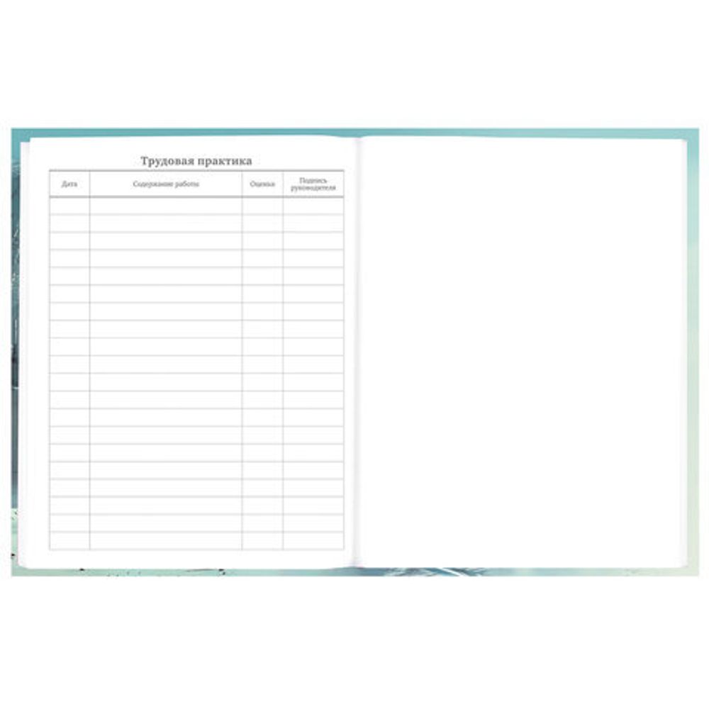 Дневник 5-11 класс 48 л., твердый, BRAUBERG, глянцевая ламинация, с подсказом, "Космический корабль", 107189