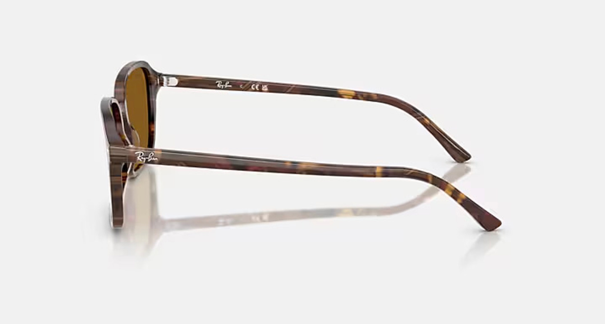 RAY-BAN RAIMOND RB2231 141833