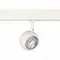 ST355.536.10 Магнитный трековый светильник Белый LED 1*10W 3000K 470Lm Ra>80 36° IP20 L120xW50xH176 СКАЙЛАЙН 48V
