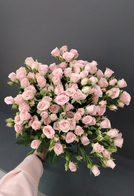 Заказ на 29.01