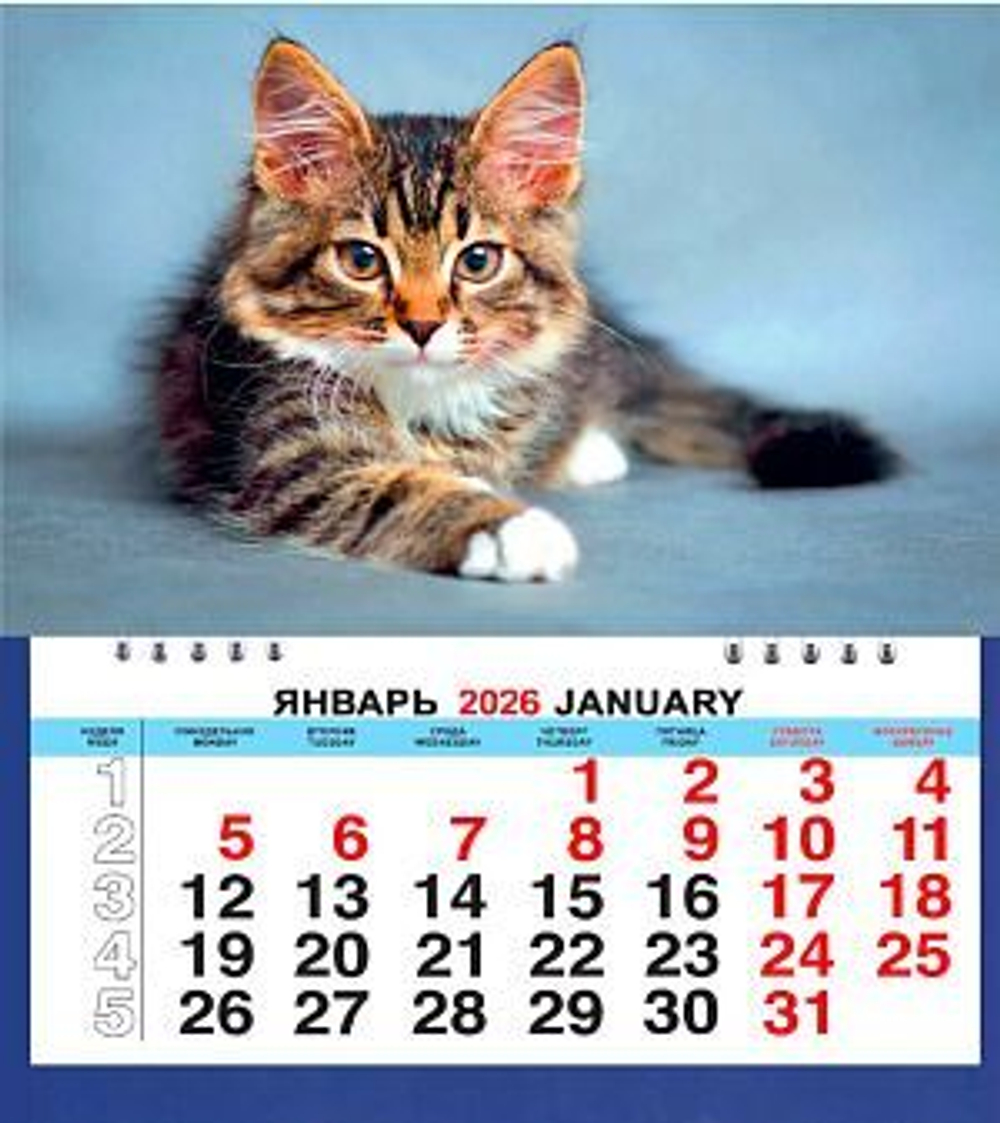 Календарь МАЛЫЙ 200*240мм на 2026г. Котенок