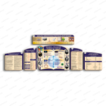 Комплект фигурных стендов Физика 2960