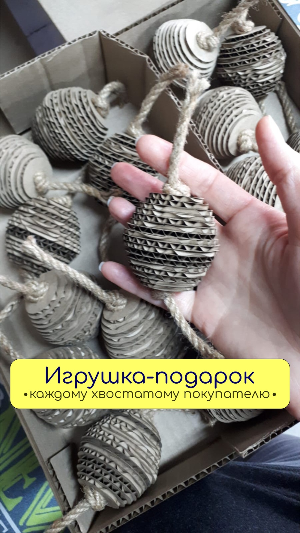 Когтеточка лежанка картонная двухсторонняя #01, игрушка в подарок