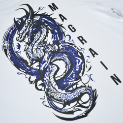 Футболка Реглан DRAGON