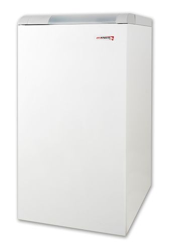 Напольный газовый котёл Protherm Медведь 30 KLOM, одноконтурный (0010005725)