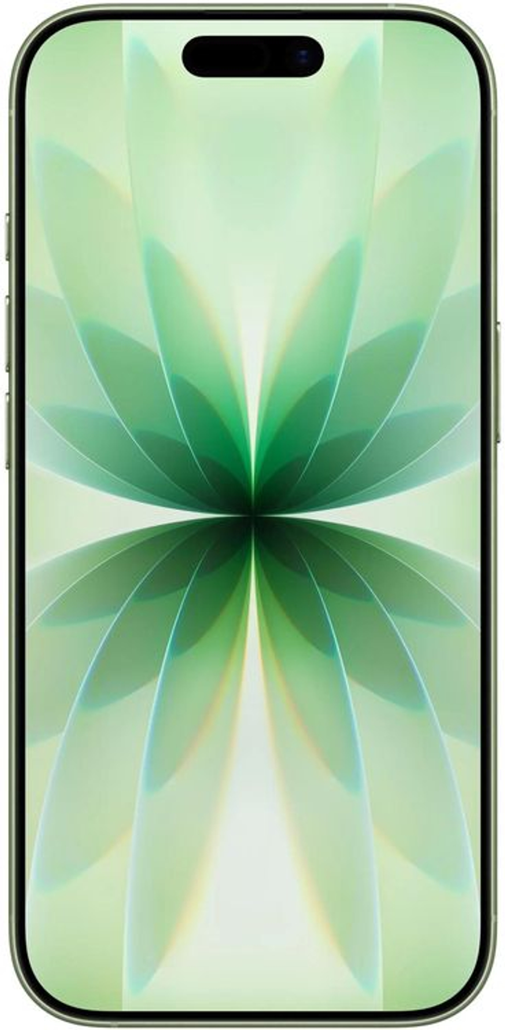 6.3" Смартфон Apple iPhone 17 256Gb,  A3520,  NFC,  OLED,  120Гц,  зеленый