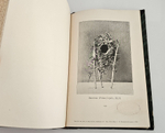 "Птицы Восточной Персии". Н.А. Зарудный. 1903г.