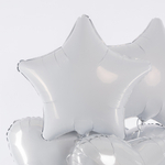 Звезда 19" Белый Agura