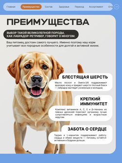 Корм сухой для пожилых собак породы Лабрадор-ретривер старше 5 лет, с индейкой, 12 кг, QUATTRO