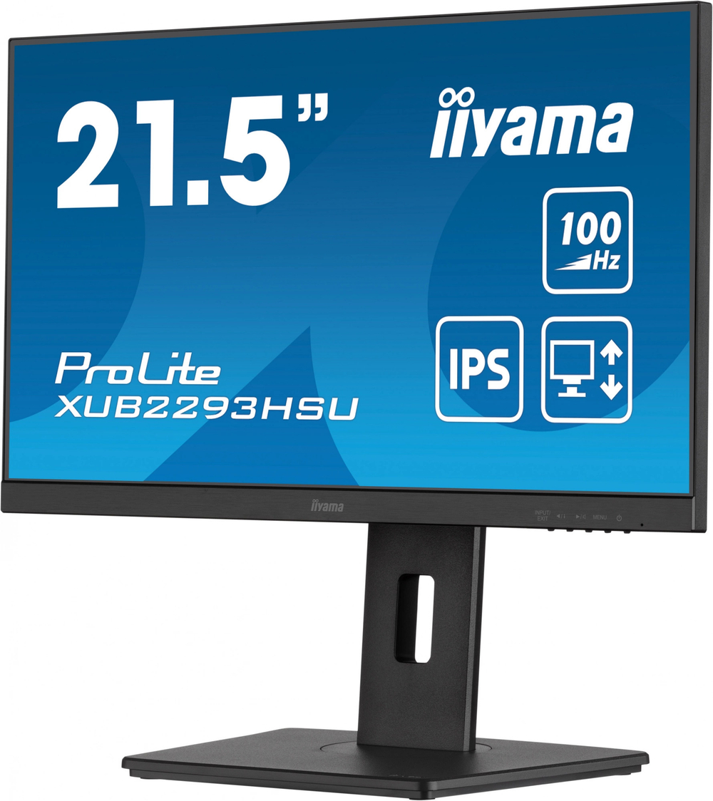 Монитор 21,5" Iiyama ProLite XUB2293HSU-B7