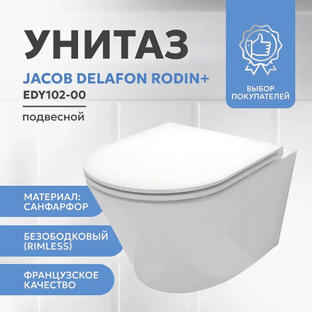 Унитаз подвесной Jacob Delafon Rodin+ EDY102-00 без сиденья