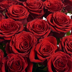 Букет 25 Красных роз "Пламя Чувств"