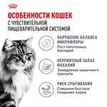 Royal Canin Digestive Care Дайджестив Кэа Корм сухой профилактика нарушений пищеварительной системы для взрослых кошек 400г