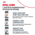 Royal Canin Siberian Adult Корм сухой для взрослых кошек породы Сибирская 0,4 кг