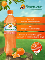 Мандарин 0,5 л. ПЕТ (упаковка 12 бутылок)