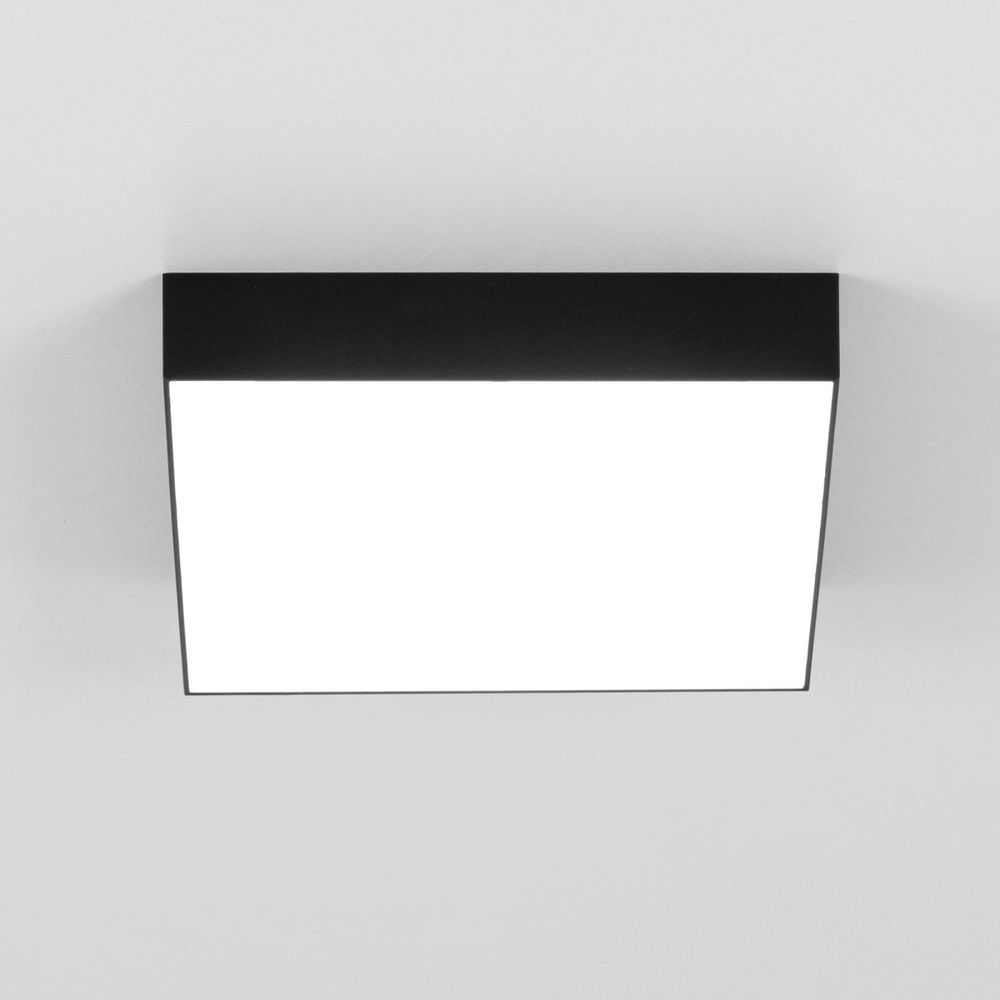 Citilux Тао CL712X242N LED Светильник потолочный с диммером Чёрный