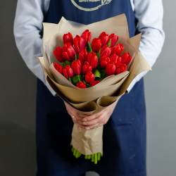 Красные тюльпаны