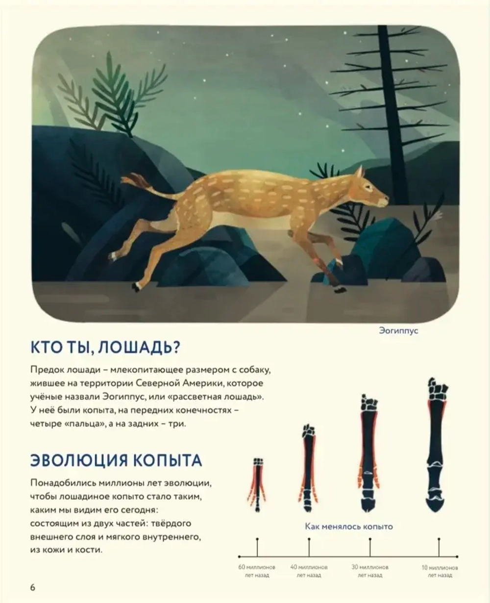 Лошади: дикие и прирученные                   (non-fiction)