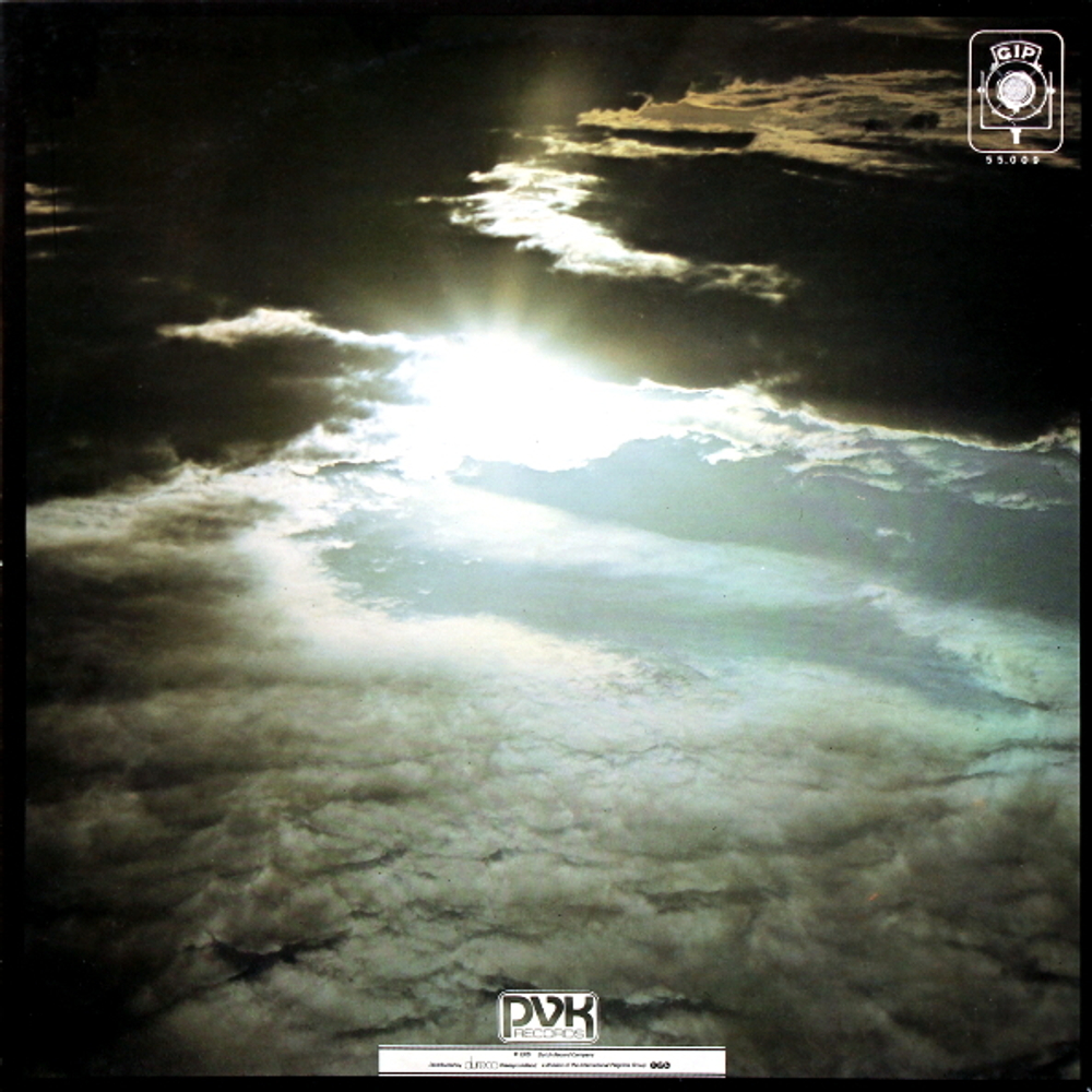 Peter Green / In The Skies (LP)