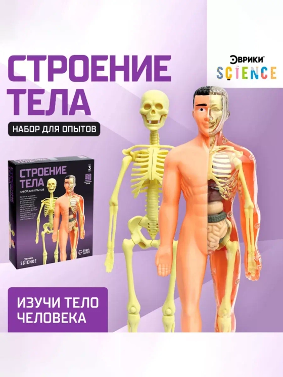 Набор для опытов Строение анатомия человека для детей