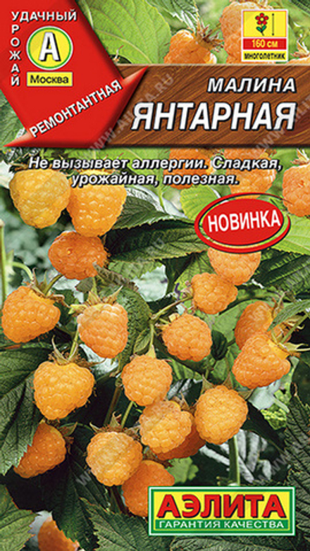 Малина "СТ. Янтарная" 20шт., Россия.