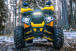 Квадроцикл WELS Thunder Trail 125 PRO