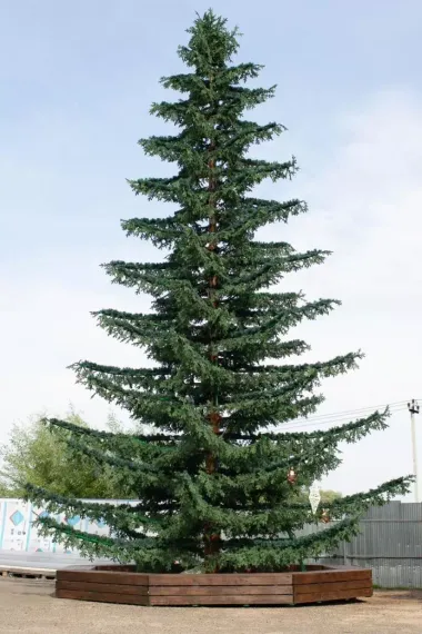 Уличная елка Лесная зеленая 14 м., ствольная, Литая, Green Trees (GT14LESPE)