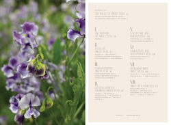 Sweet Pea School: Growing & Arranging the Garden’s Most Romantic Blooms