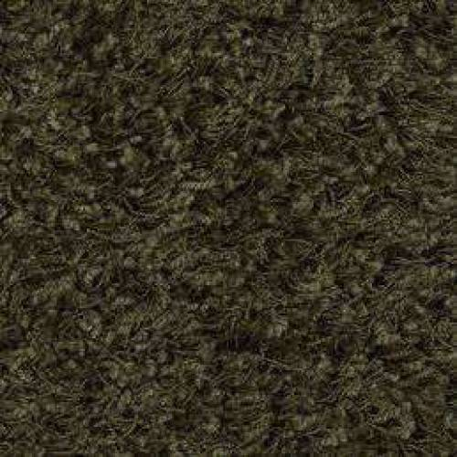 Ковровое покрытие Shaw Floors Super Chic 348