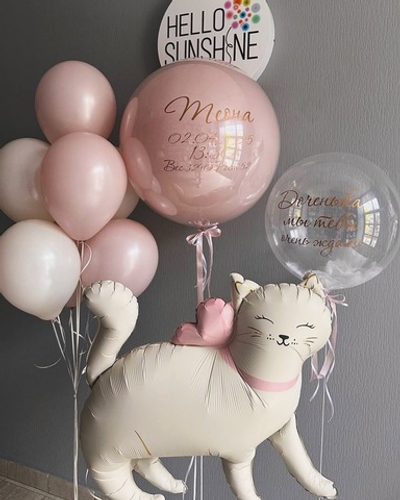 Набор шаров Пудровый котик