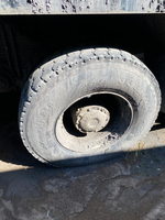 Shacman (Shaanxi) SX* 8x4 Самосвал SX331863366 (Дизельный, 12,5 л, 544 л.с., МТ)