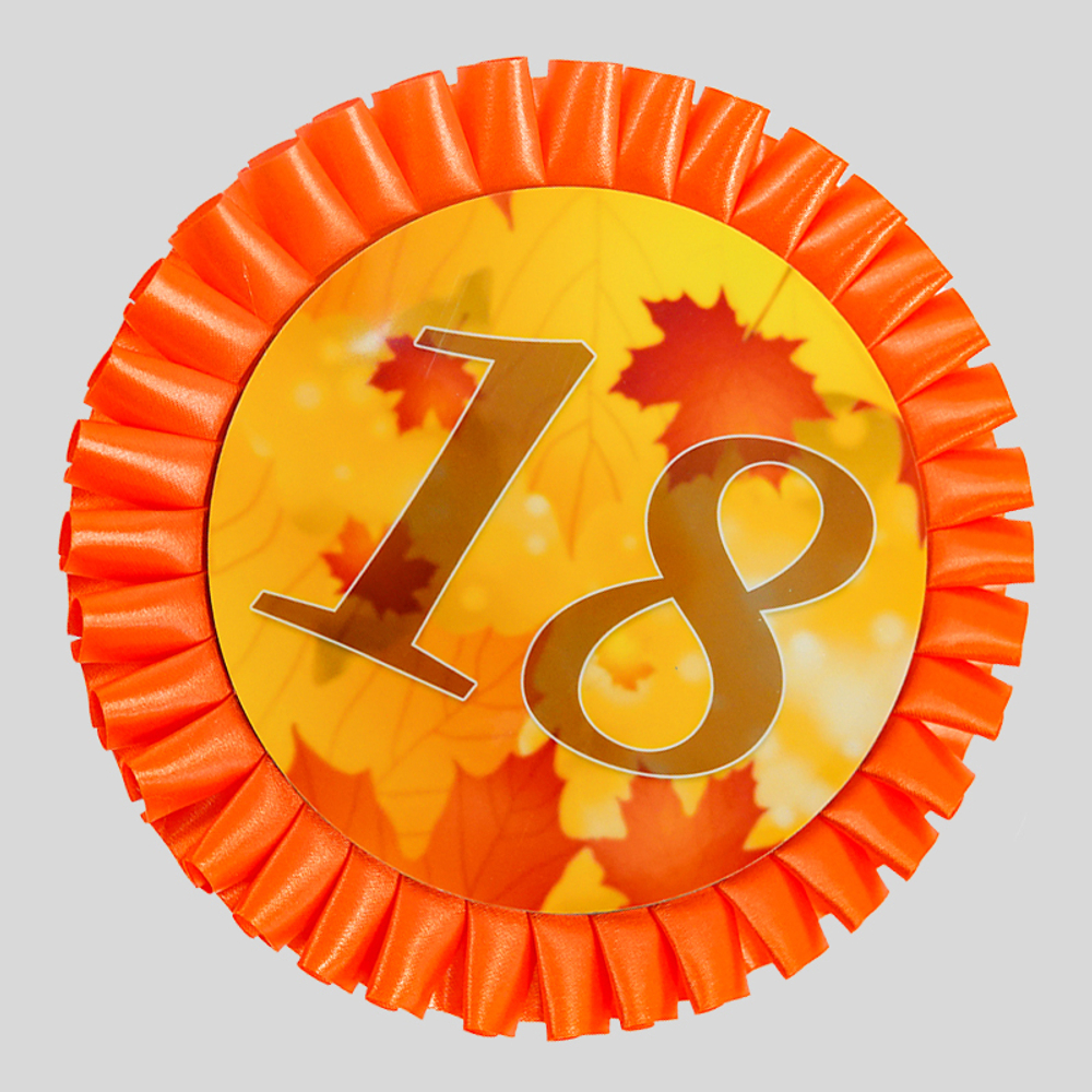 Номер участника. Диаметр 115 мм.