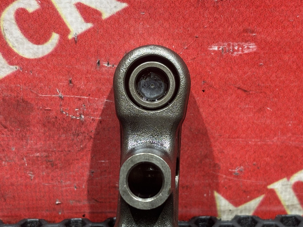 Коромысло 2019г.