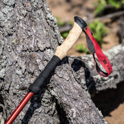 ПАЛКИ ТРЕККИНГОВЫЕ TALBERG SHERPA POLE