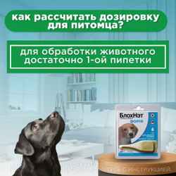 Капли для щенков и собак от 10 до 20 кг от блох, клещей, вшей, власоедов, а так же для лечения ушной чесотки и предотвращения нападения комаров БлохНэт Форте (Астрафарм), 1пипетка