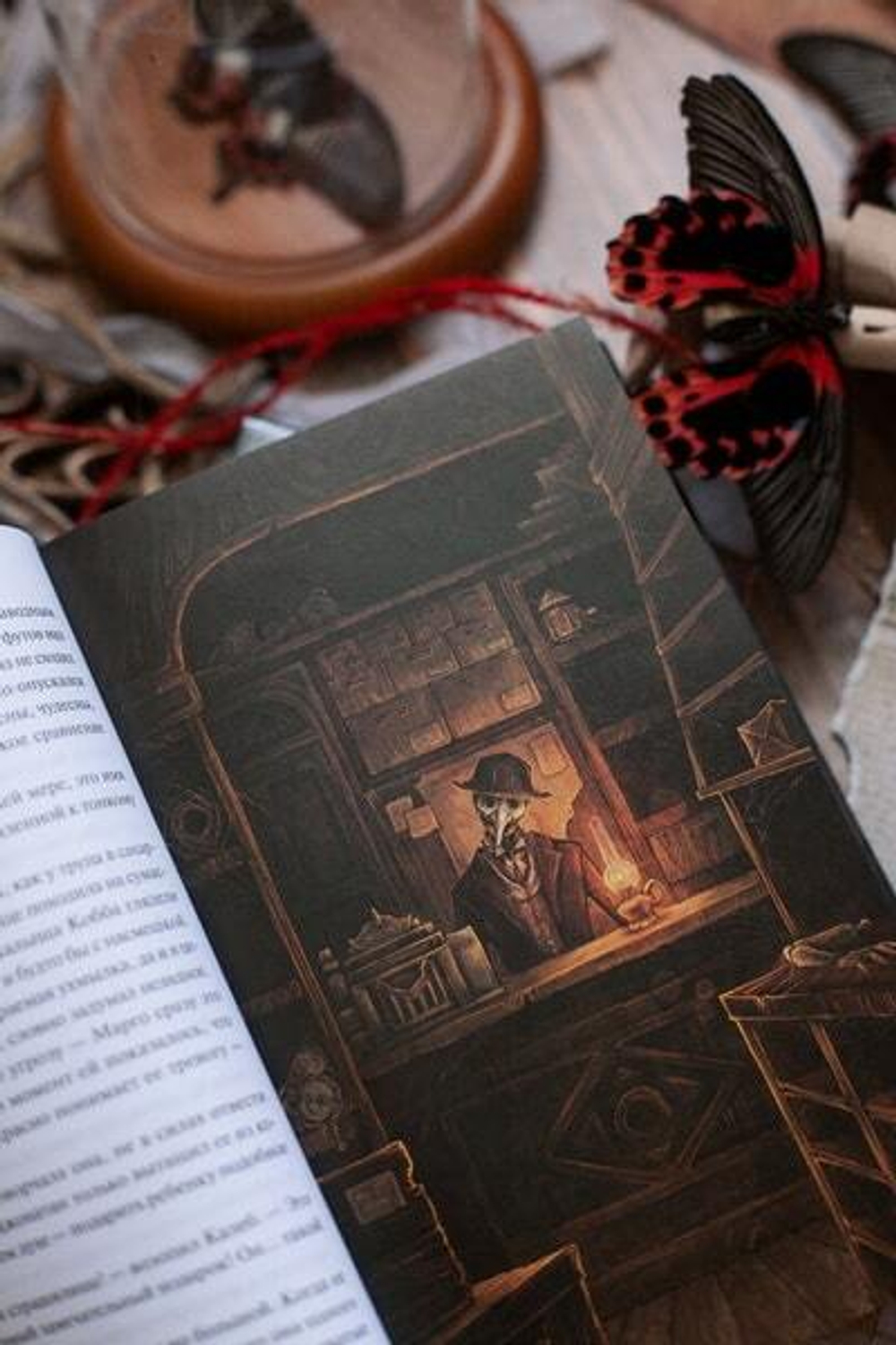 Моё пост-имаго