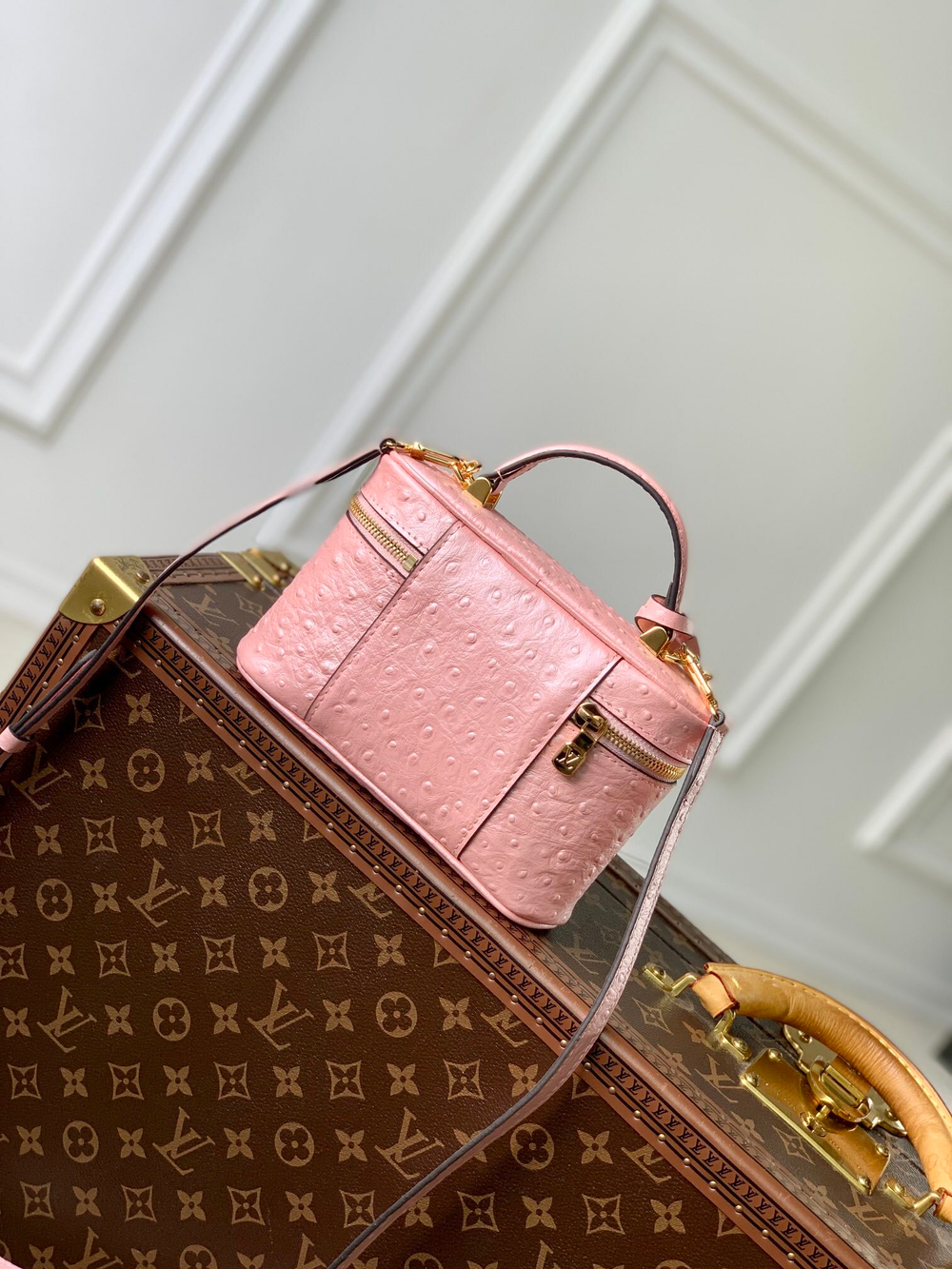 Louis Vuitton Vanity Chain Pouch