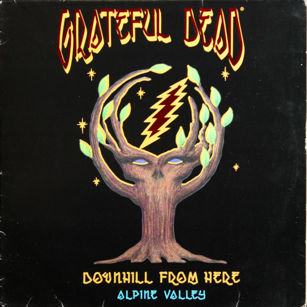 Grateful Dead / Downhill From Here: Alpine Valley (2LD)