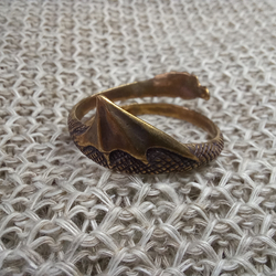 Кольцо. Дракон скрученный