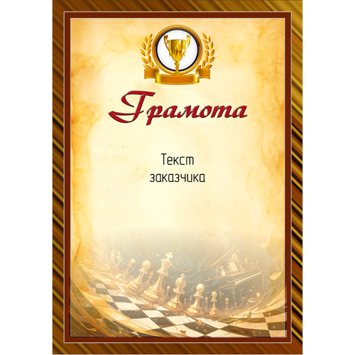 PNDiploma-073 с текстом