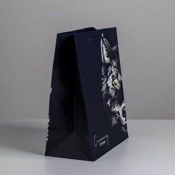 Пакет подарочный ламинированный, упаковка, «Сильному духом», ML 23×27×11.5 см