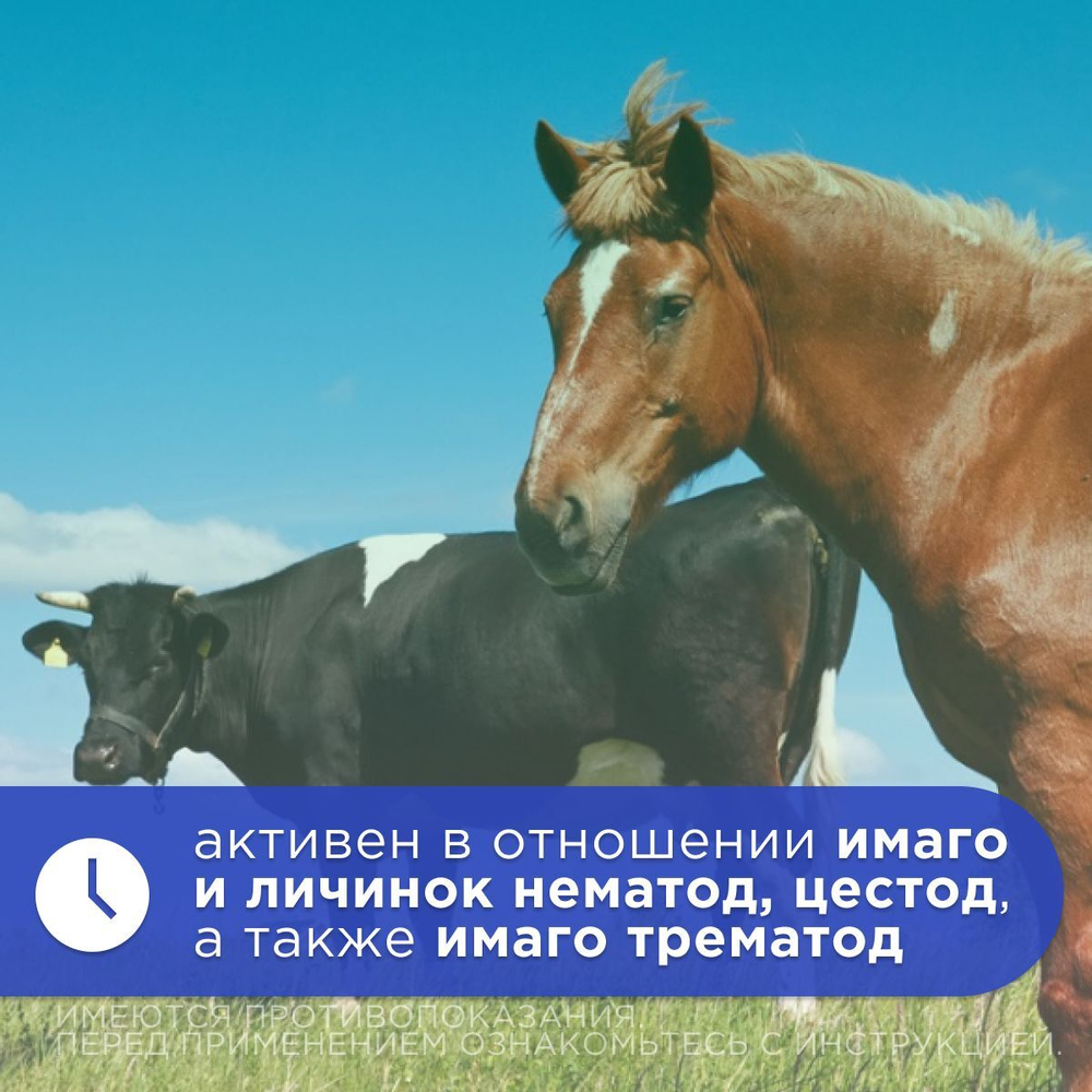 Суспензия для орального применения от гельминтов, для КРС, лошадей и овец Альвет (NITA-FARM), 100 мл. Альбендазол