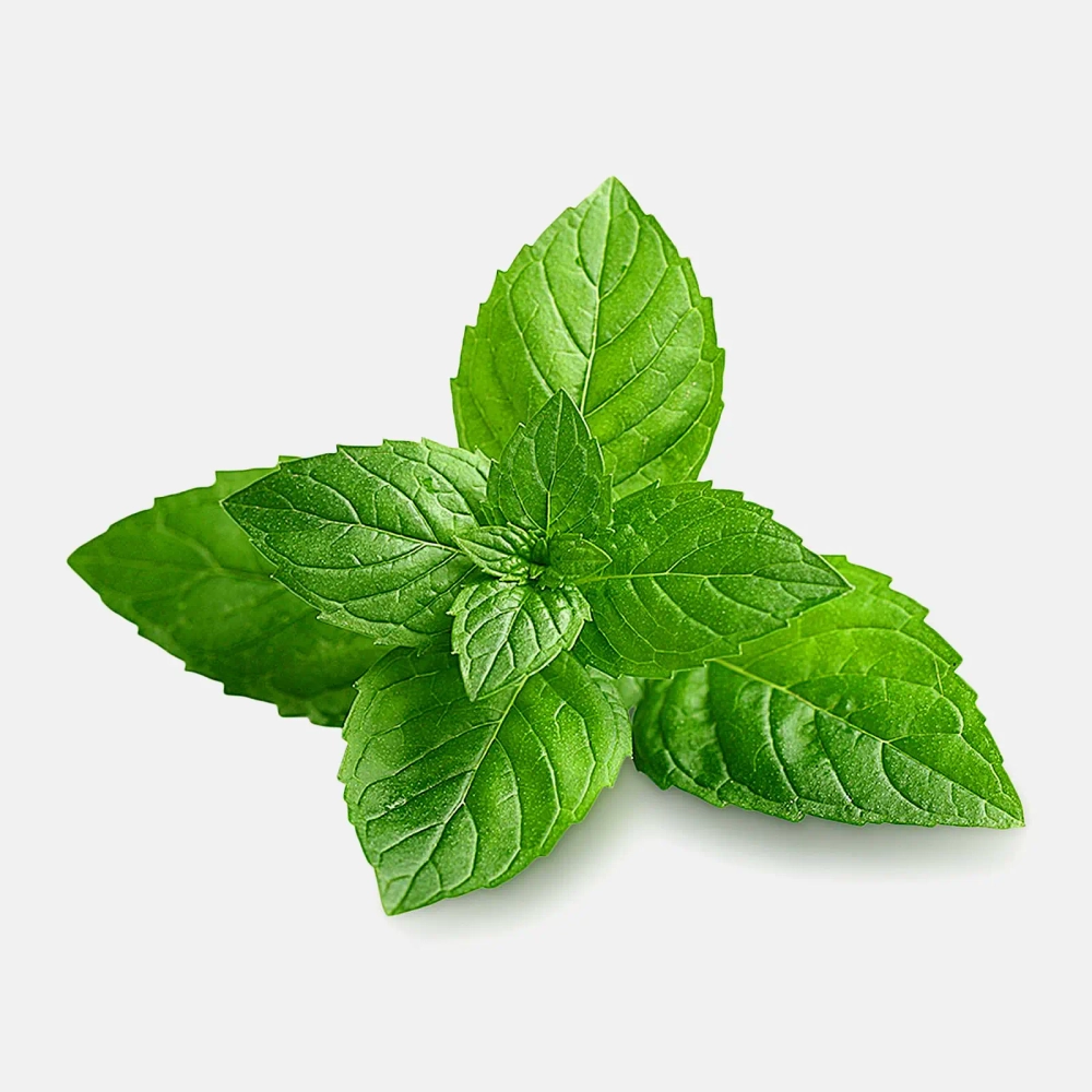 Мята перечная М Свежесть 30г